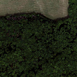 Satellite imagery of Schönberg, DE