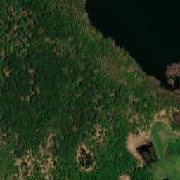Satelita