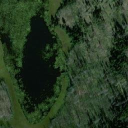 Satellite imagery of Mount Jim, CA