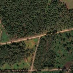 Satellite imagery of Surrey Hill, GB