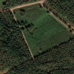 Satellite imagery of Surrey Hill, GB