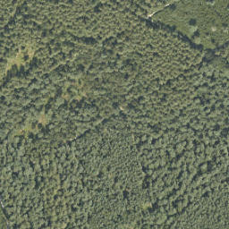 Satellite imagery of Grenspaal 262, NL
