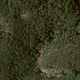 Satellite imagery of Elsberg, DE