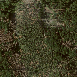 Satellite imagery of Elsberg, DE