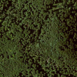 Satellite imagery of Großer Gudenberg, DE