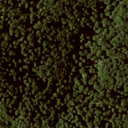 Satellite imagery of Großer Gudenberg, DE
