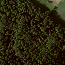 Satellite imagery of Großer Gudenberg, DE