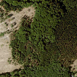 Satellite imagery of Auf der Schärfe, DE