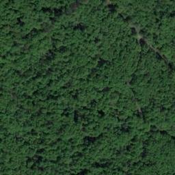 Satellite imagery of Mittelberg, DE