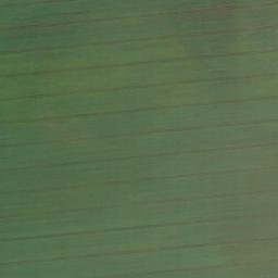 Satellite imagery of Lattenberg, DE