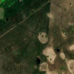Satelita