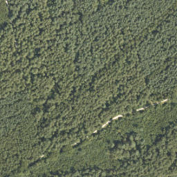 Satellite imagery of Grenspaal 262, NL
