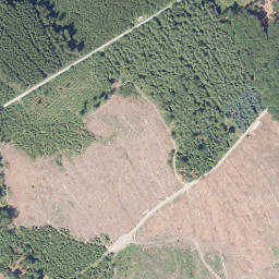Satellite imagery of Trenke, DE