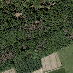Satellite imagery of Großer Buttenberg, DE