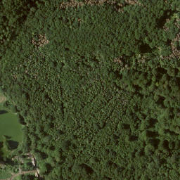 Satellite imagery of Elsberg, DE