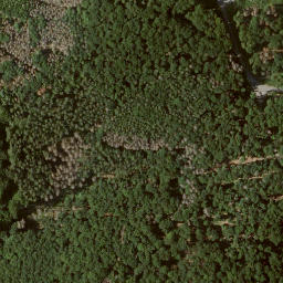 Satellite imagery of Elsberg, DE