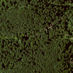 Satellite imagery of Großer Gudenberg, DE