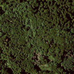 Satellite imagery of Großer Gudenberg, DE