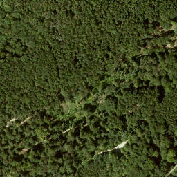Satellite imagery of Badenstein, DE