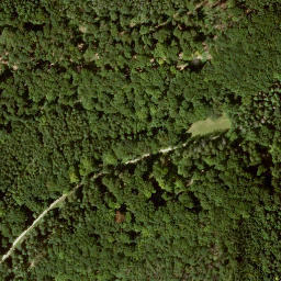 Satellite imagery of Badenstein, DE