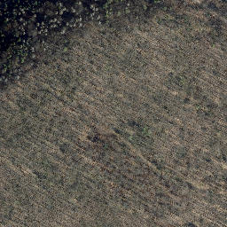 Satellite imagery of Iberg, DE