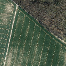 Satellite imagery of Steinrunde, DE
