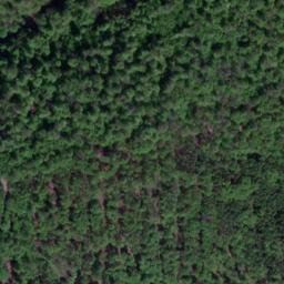 Satellite imagery of Eichenberg, DE