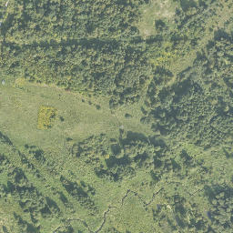 Satelita