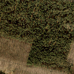 Satellite imagery of 463, NL