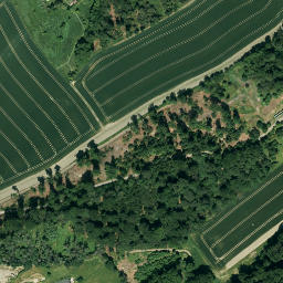 Satellite imagery of BP, NL