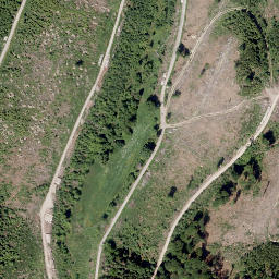 Satellite imagery of Bauernschütt, DE