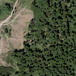 Satellite imagery of Bauernschütt, DE