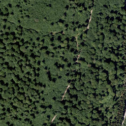 Satellite imagery of Bauernschütt, DE