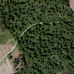 Satellite imagery of Arenstein, DE