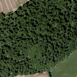 Satellite imagery of Arenstein, DE