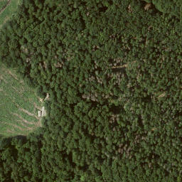 Satellite imagery of Elsberg, DE