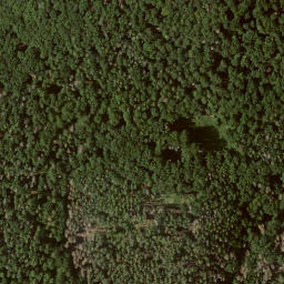 Satellite imagery of Elsberg, DE