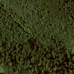 Satellite imagery of Großer Gudenberg, DE