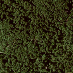 Satellite imagery of Großer Gudenberg, DE