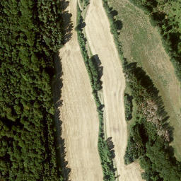 Satellite imagery of Badenstein, DE