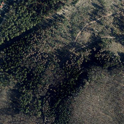 Satellite imagery of Elisabethhöhe, DE