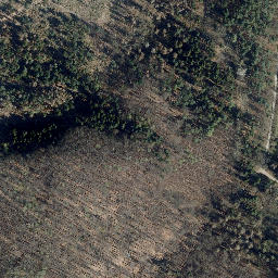 Satellite imagery of Elisabethhöhe, DE