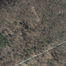 Satellite imagery of Iberg, DE