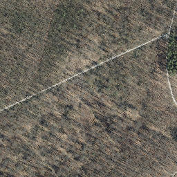 Satellite imagery of Iberg, DE