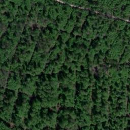 Satellite imagery of Mittelberg, DE