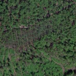 Satellite imagery of Eichenberg, DE