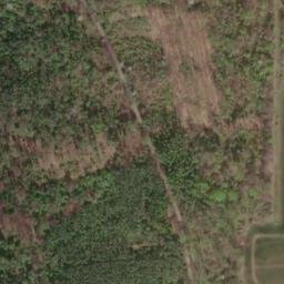 Satellite imagery of Lattenberg, DE