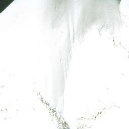 Satellite imagery of Kelly Crest, CA