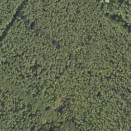 Satellite imagery of 254, NL