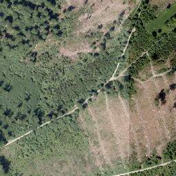 Satellite imagery of Borberg, DE